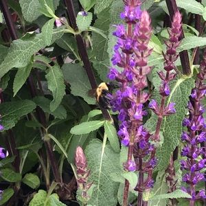 Meet your Posher, Katrina